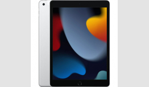 iPad 2021 64GB Silver Wifi + 4G A grade